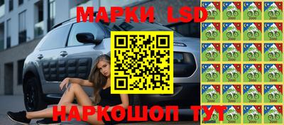 ГАЛЛЮЦИНОГЕННЫЕ ГРИБЫ Берёзовский