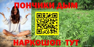 a pvp Бийск